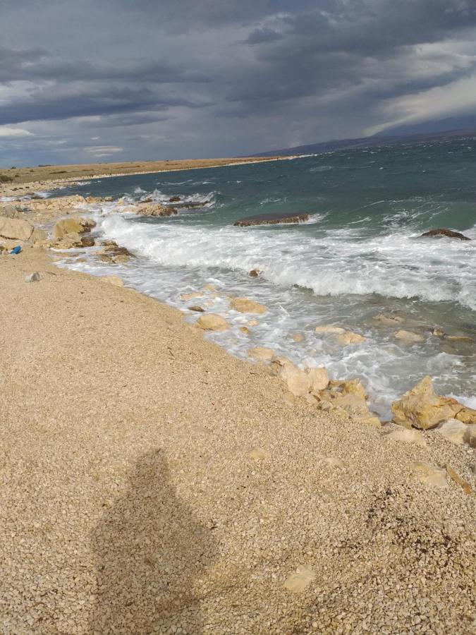 Apartmani Marijanovic Vir Dış mekan fotoğraf