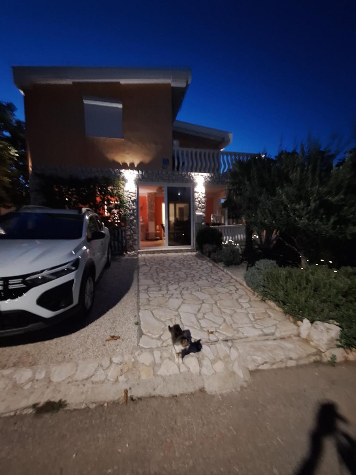 Apartmani Marijanovic Vir Dış mekan fotoğraf